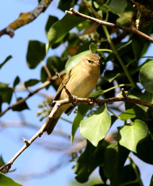 LLEGÓ EL OTOÑO A NAVARRA