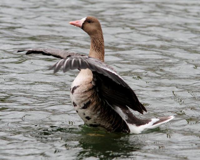 LLEGÓ EL OTOÑO A NAVARRA