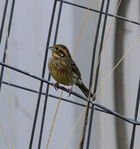 LLEGÓ EL OTOÑO A NAVARRA