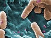 Infecciones nosocomiales
