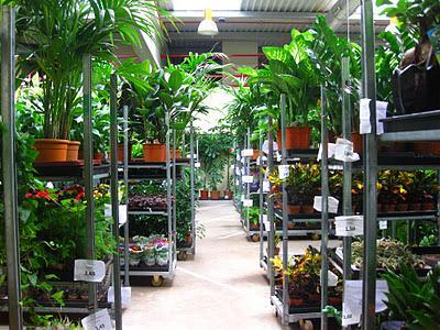 Arreglos Florales por el Pilar