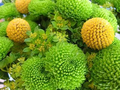 Arreglos Florales por el Pilar