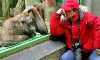 Lenguaje corporal. El espejo de la empatía