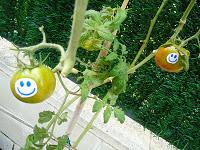 ALIMENTOS NUEVOS Y DIVERTIDOS