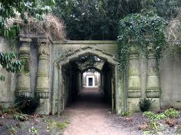 Hojas de dedalera, Victoria Álvarez