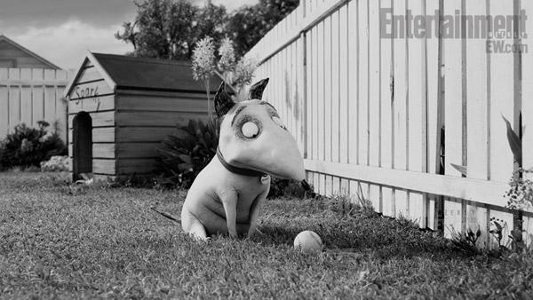 Nuevas imágenes de Frankenweenie de Tim Burton