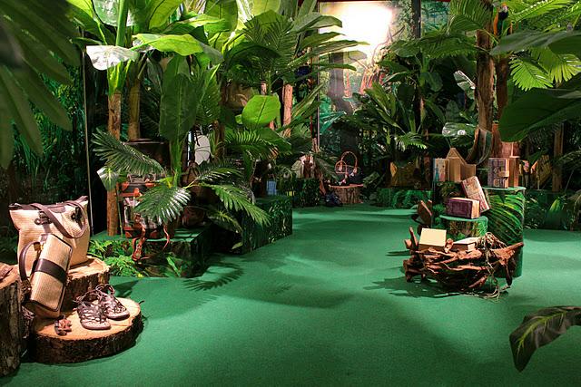 Bienvenidos a la Jungla!!