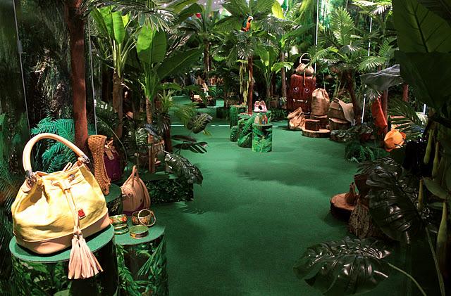 Bienvenidos a la Jungla!!