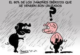 Dabigatran ¿Es oro todo lo que reluce?