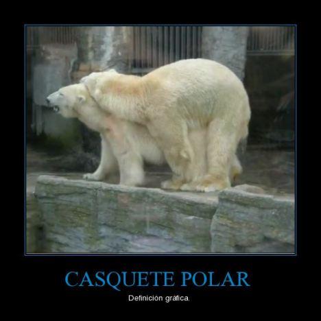 Literal: Casquete Polar