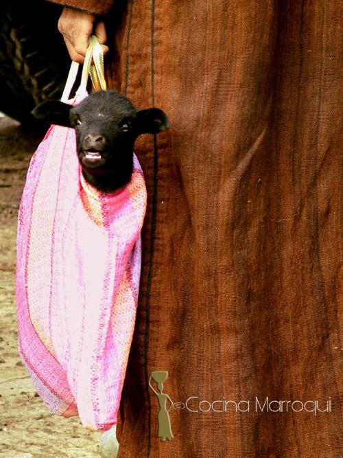 Aïd Al Adha (Aid el Kebir) 1432 (2011)