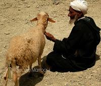 Aïd Al Adha (Aid el Kebir) 1432 (2011)