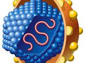 Hepatitis crónica