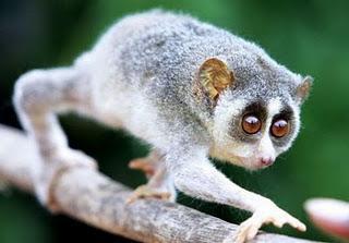 No te acostarás sin saber 20 cosas más (V) No te acostarás sin saber 20 cosas más (V)