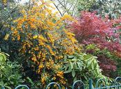 Botanic Gardens Belfast