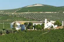 La Ruta de los Lagares