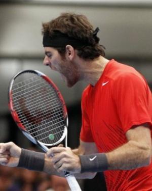 ATP 250: Del Potro está en la final y va por Tsonga