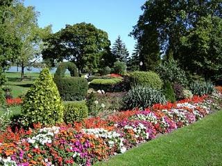 Fotos de patios y jardines