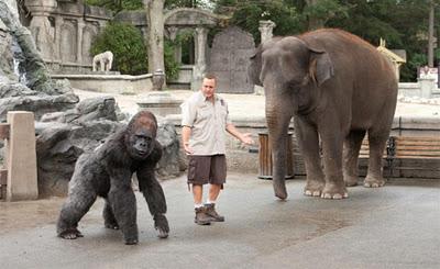 Zooloco. La estupidez hecha película, by Mixman