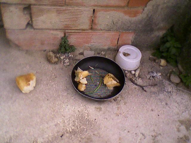 La voz del voluntari@ . Julia ( Adaana )