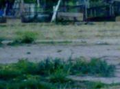 voluntari@ Julia Adaana