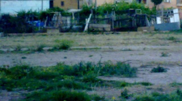 La voz del voluntari@ . Julia ( Adaana )