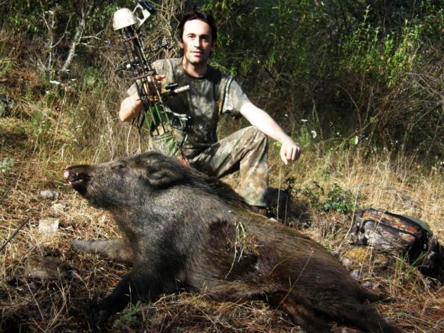 caza de jabali