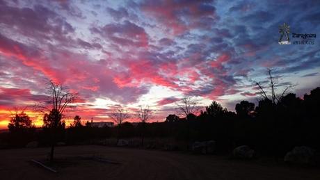 amanecer-en-zaragoza-el-viento-no-nos-llevo