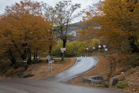 calle-de-acceso-al-Pilar-de-Katskhi