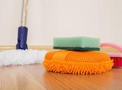 Limpieza Pulido: espacio mascotas requiere productos limpieza adecuados calidad»