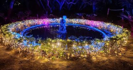 Luces del Botánico en Málaga 2022 Luces del Botánico en Málaga 2022