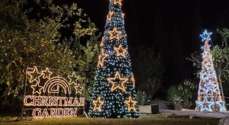 Luces del Botánico en Málaga 2022 Luces del Botánico en Málaga 2022