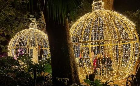 Luces del Botánico en Málaga 2022 Luces del Botánico en Málaga 2022