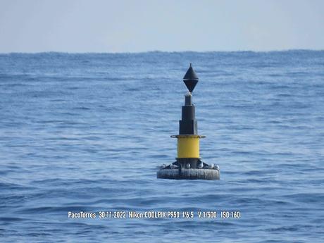Charranes en el Mar de Sant Adrià