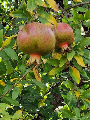 La historia es un argumento sin fin La historia es un argumento sin fin