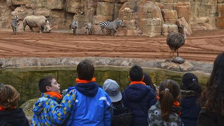 Días sin cole para pequeños exploradores en Bioparc Valencia