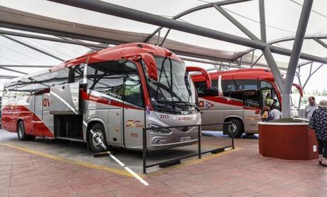Estas son las líneas de autobuses serán gratis a partir del 1 de enero de 2023