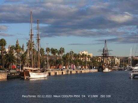 Cuatro alcas en el Port Vell de Barcelona