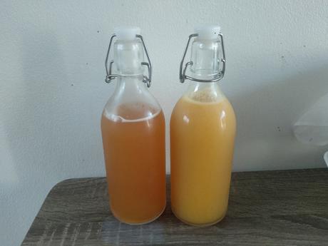 segunda fermentacion kombucha