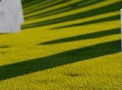 ¿Está cerca muerte Bitcoin?