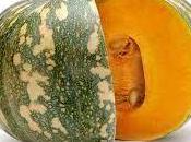 Propiedades Antibacterianas Auyama