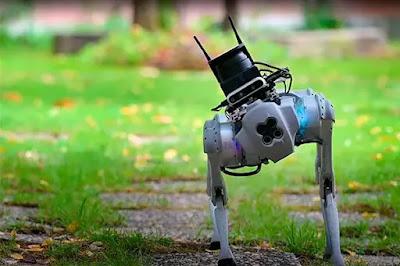 Tefi, el primer perro guía robótico.