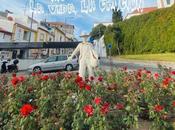 Juani Mustard cierra estrenos destacados shows vivo