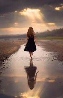 5.304 - ROBAR AL SOL... 5.304 - ROBAR AL SOL...