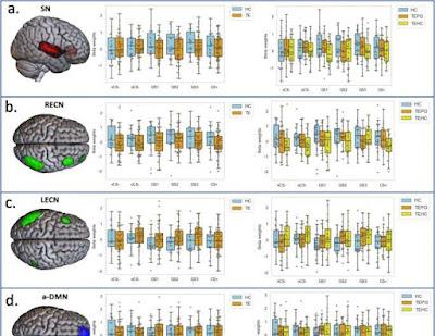 Investigadores revelan cómo el trauma cambia el cerebro
