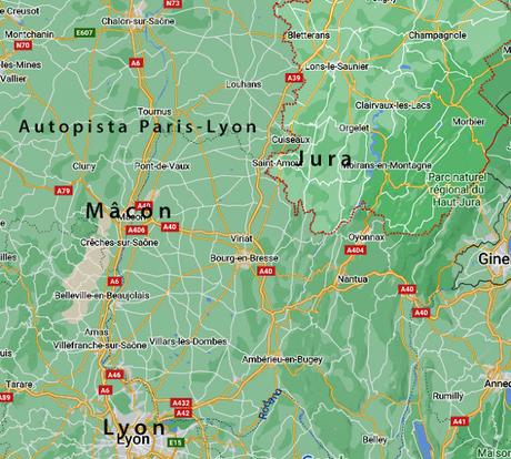 Cocinando con Marta Torres Molina. Pollo con aceitunas Cocinando con Marta Torres Molina. Pollo con aceitunas