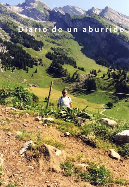 Cocinando con Marta Torres Molina. Pollo con aceitunas