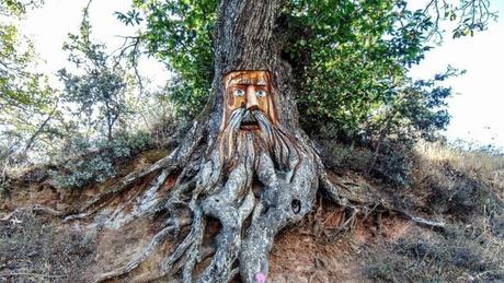 Planazo en el Bosque Encantado de Parauta (Málaga)