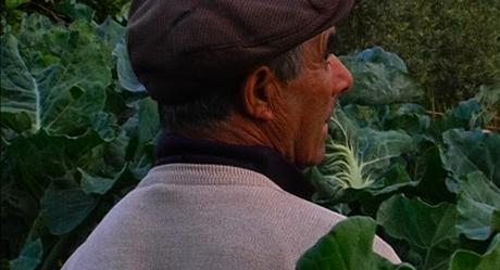 IDFA 2022 - Parte 4: Tierras y territorios