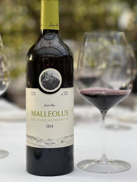 Diez vinos (y ‘vinazos’) para maridar esta Navidad 2022